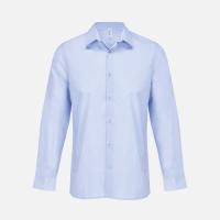 Рубашка мужская Bailey, голубая