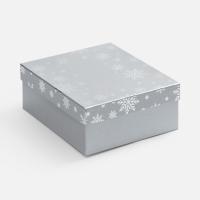 Коробка Wintry, серебристая