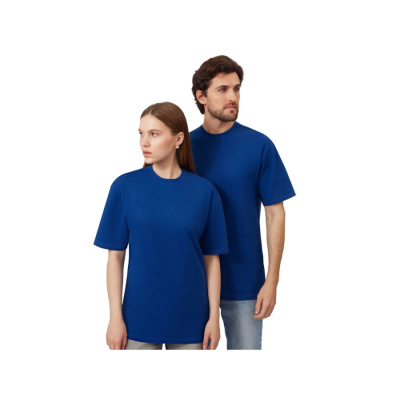 Футболка из френч терри Warsaw унисекс 220гр, кл. синий (размер 2XL)