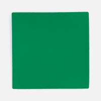 Лейбл Listra Soft Touch, L, зеленый