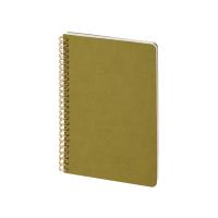 Бизнес тетрадь на гребне А5 Pragmatic, 60 листов в клетку, зеленый хаки