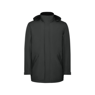 Парка утепленная America мужская, графитовый (размер S)