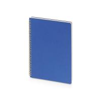 Бизнес тетрадь на гребне А4 Pragmatic, 100 листов в клетку, синий