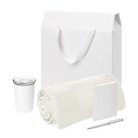 Подарочный набор Welcome Pack Spark mini, серебряный (термокружка, блокнот, ручка, плед, коробка-пакет)