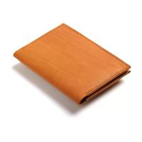 Обложка для паспорта Руга, оранжевый