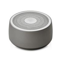 Портативная колонка Ironwood N1, 5 Вт, темно-серый
