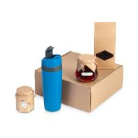 Подарочный набор Tea Cup Superior Honey 2. 0, синий