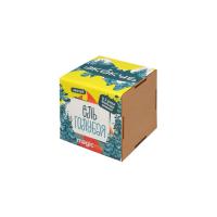 Набор для выращивания Экокуб Magicme Ель Голубая