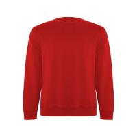 Свитшот Batian, красный