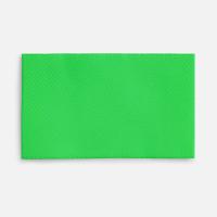 Лейбл тканевый Epsilon, M, зеленый неон