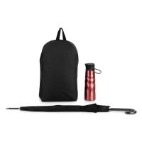 Подарочный набор с бутылкой для воды, зонтом и рюкзаком Water element, красный