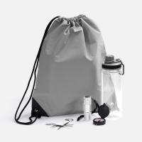 Набор Manifestour