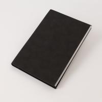 Ежедневник City New Standart недатированный, черный