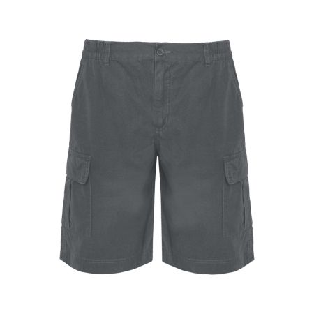 Шорты Armour, свинцовый