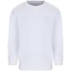 Свитшот детский Columbia Kids, белый, на рост 154-164 (размер 14 лет (154-164 см))