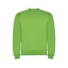 Свитшот с начесом Clasica унисекс, зеленое яблоко (размер S)
