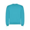 Свитшот с начесом Clasica унисекс, бирюзовый (размер S)