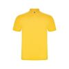 Рубашка поло Austral мужская, желтый (размер S)