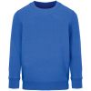 Свитшот детский Columbia Kids, ярко-синий (royal), на рост154-164 (размер 14 лет (154-164 см))