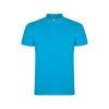 Рубашка поло Star мужская, бирюзовый (размер S)